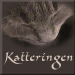 Bravenet SiteRing - Katteringen